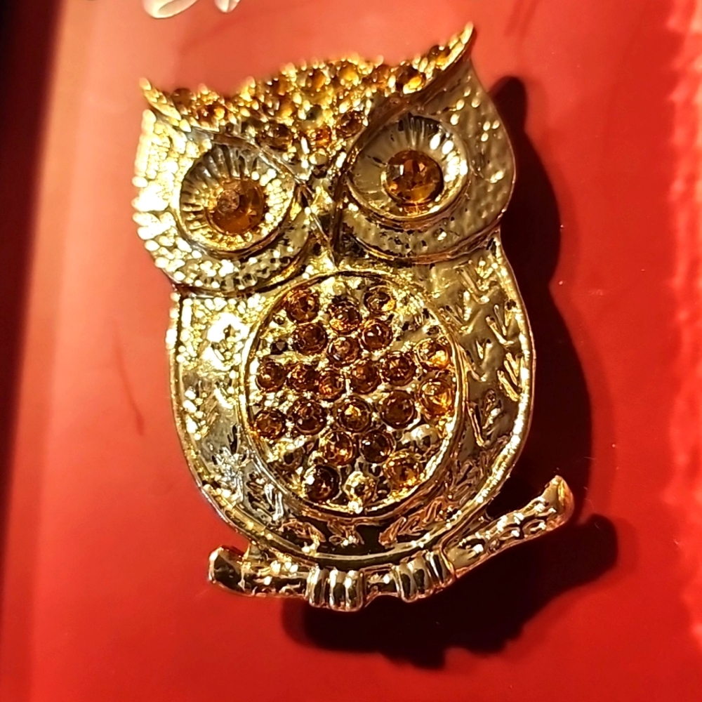 Owl Fashion Pin NIB